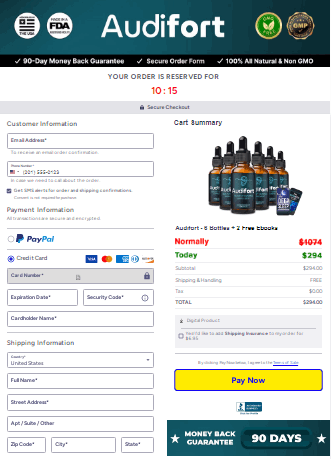 AudiFort-Secure-Checkout-Page